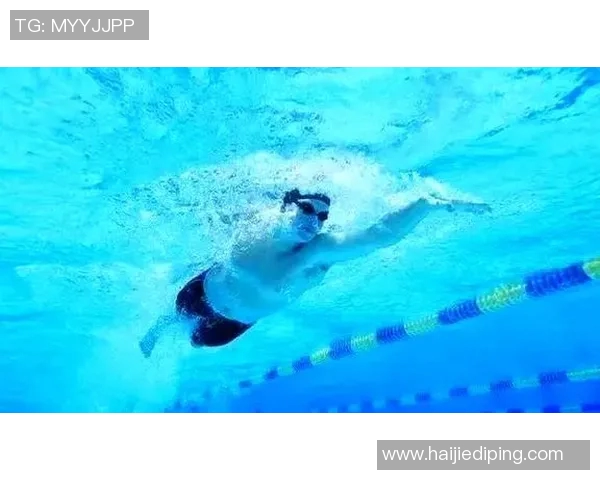 自由泳健身训练攻略提高耐力与技巧打造完美体型的科学方法