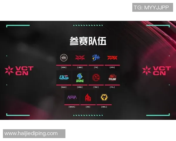 以总冠军为目标，打造最强战队的背后故事与战略分析