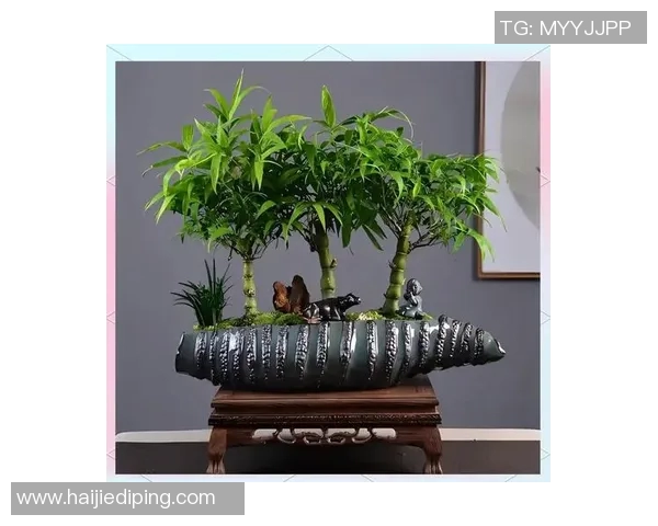 打造绿色生活：如何选择与养护适合室内的盆栽植物，提升家居品质