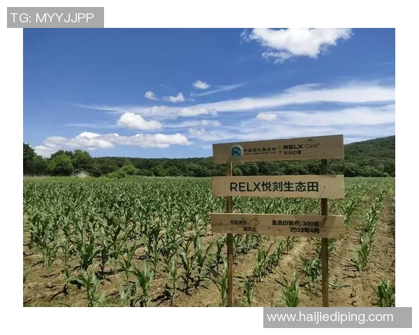 灰熊生态与行为研究：揭示北美森林中王者的生存智慧与挑战